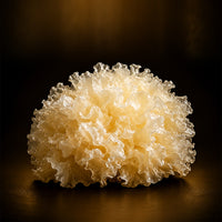 Snow Mushroom